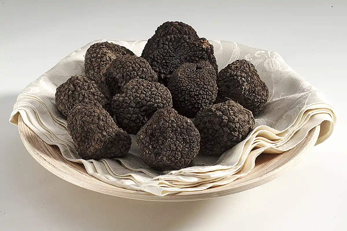 Black truffles on a plate